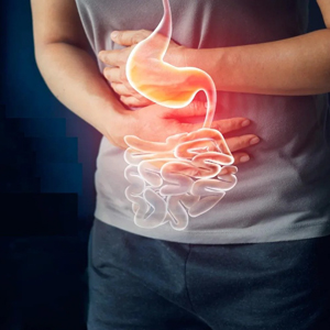 Digestion